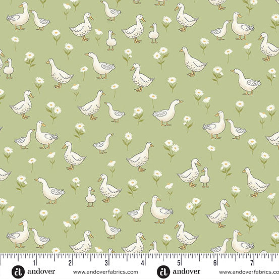Ducks Green