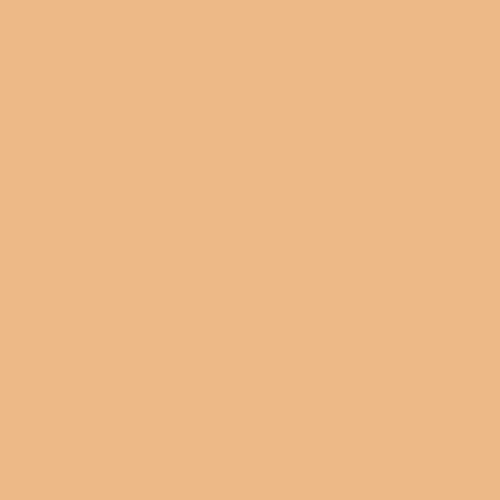 Georgia Peach Pure Solids by Art Gallery Fabrics