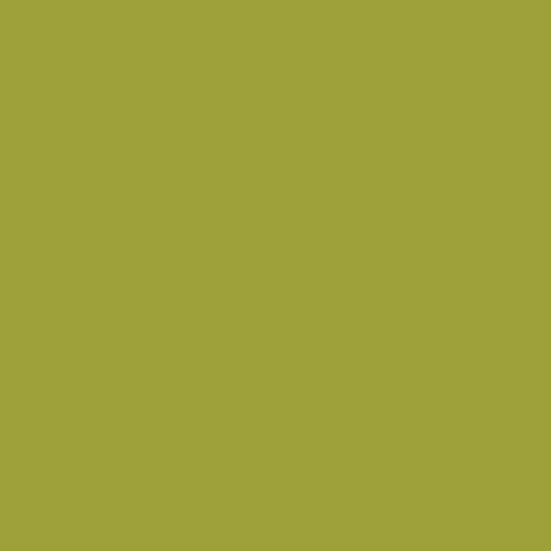 Parrot Pure Solids by Art Gallery Fabrics