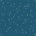 Constellations from Rocket Science Fabric Collection by Art Gallery Fabrics Pattern of star constellations on a dark blue background